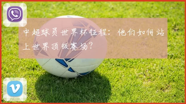 中超球员世界杯征程:他们如何站上世界顶级赛场?