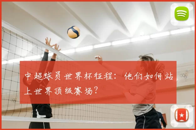 中超球员世界杯征程:他们如何站上世界顶级赛场?