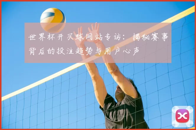 世界杯开买球网站专访:揭秘赛事背后的投注趋势与用户心声