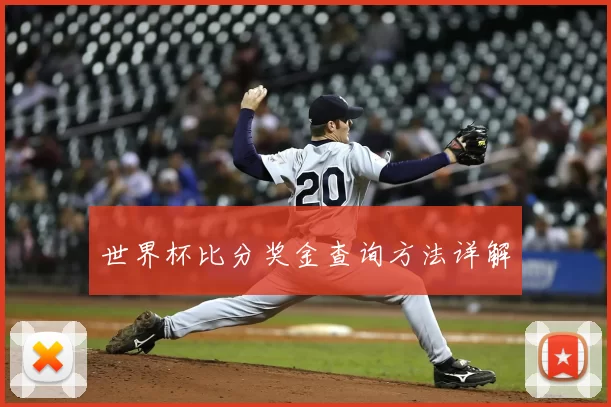世界杯比分奖金查询方法详解