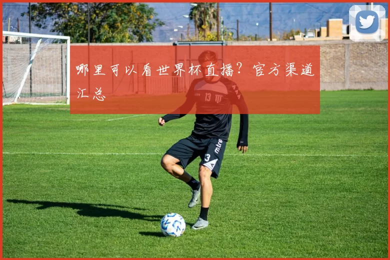 哪里可以看世界杯直播？官方渠道汇总