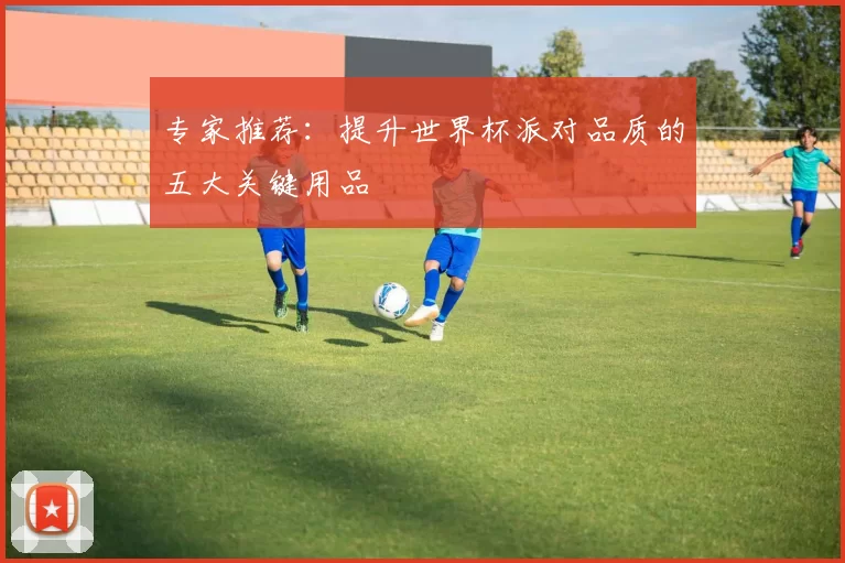 专家推荐:提升世界杯派对品质的五大关键用品