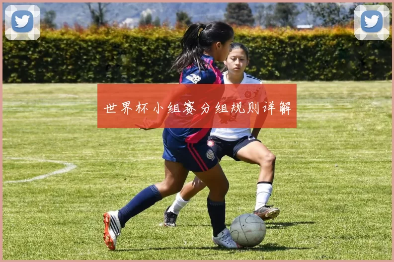 世界杯小组赛分组规则详解