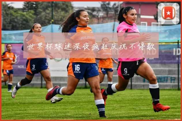 世界杯球迷深夜疯狂庆祝不停歇