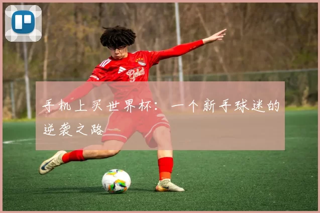 手机上买世界杯:一个新手球迷的逆袭之路