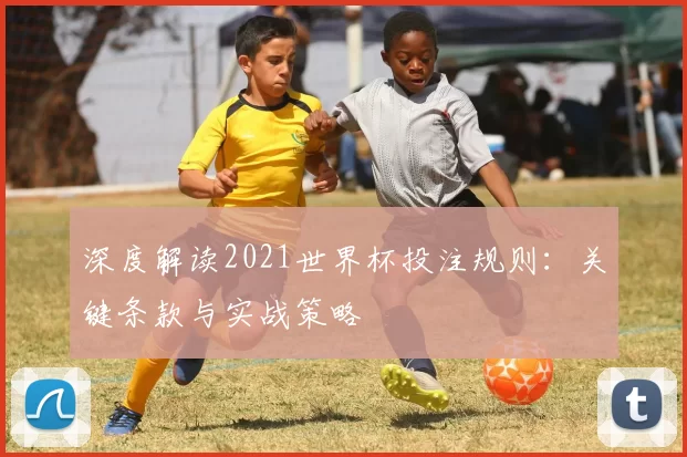 深度解读2021世界杯投注规则:关键条款与实战策略