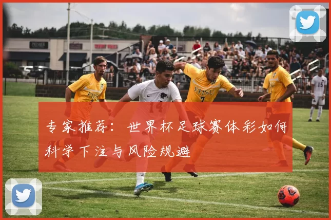 专家推荐:世界杯足球赛体彩如何科学下注与风险规避