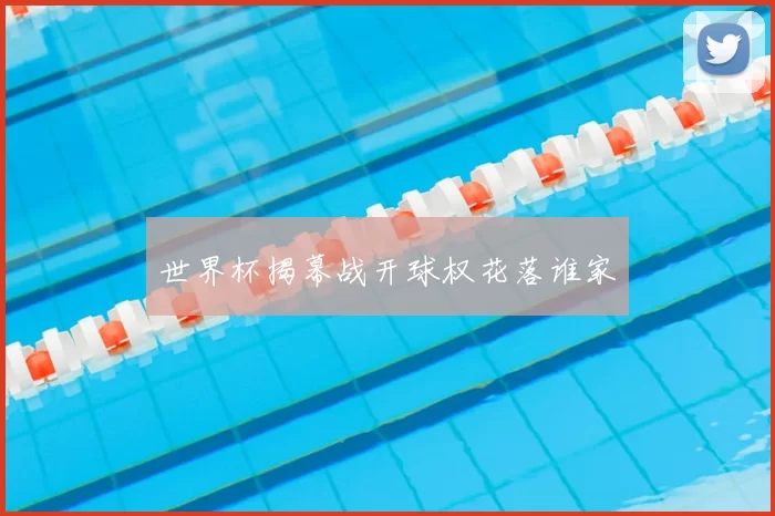 世界杯揭幕战开球权花落谁家